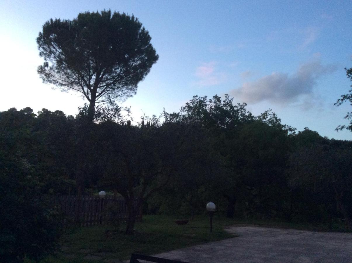 B&B Il Frassino เปรูจา ภายนอก รูปภาพ