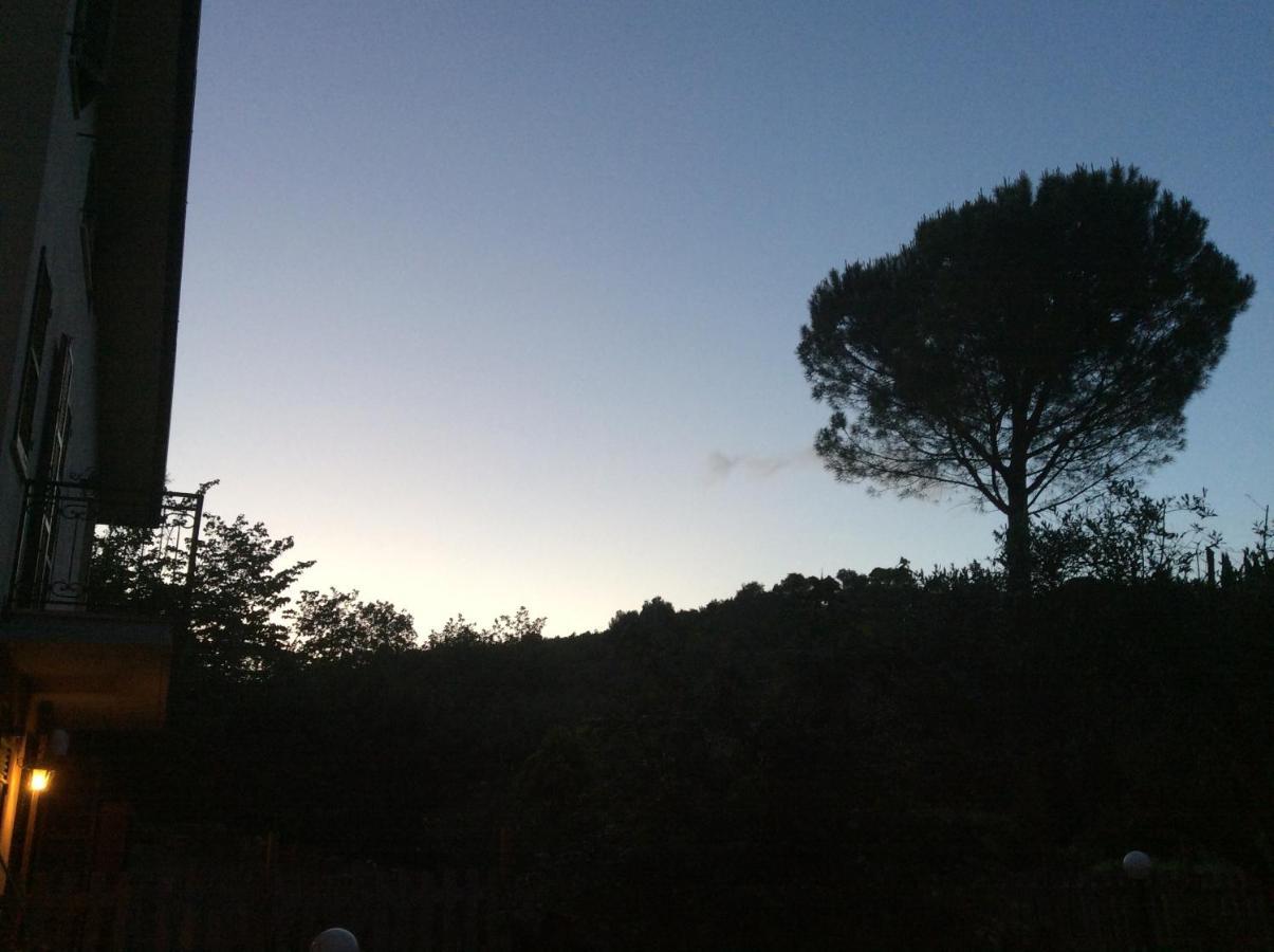 B&B Il Frassino เปรูจา ภายนอก รูปภาพ