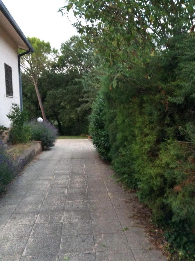 B&B Il Frassino เปรูจา ภายนอก รูปภาพ