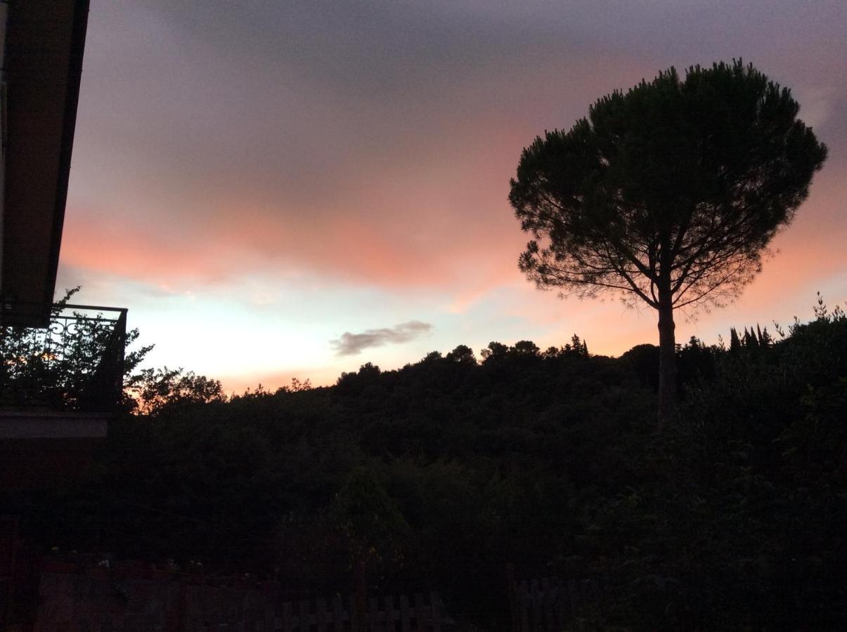 B&B Il Frassino เปรูจา ภายนอก รูปภาพ