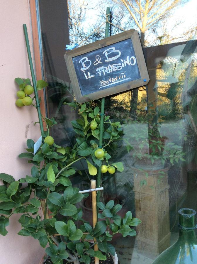 B&B Il Frassino เปรูจา ภายนอก รูปภาพ