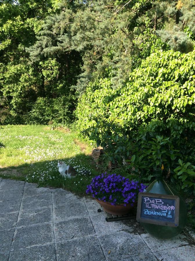 B&B Il Frassino เปรูจา ภายนอก รูปภาพ