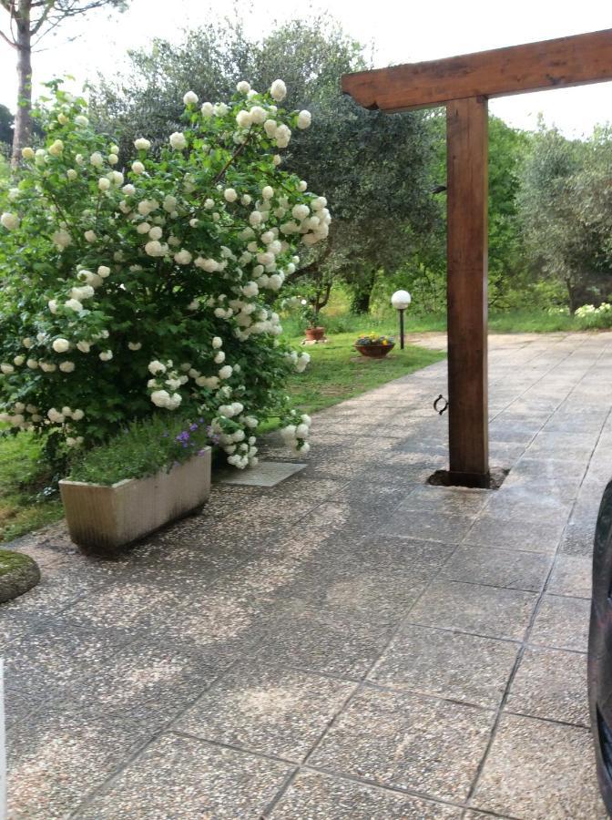 B&B Il Frassino เปรูจา ภายนอก รูปภาพ